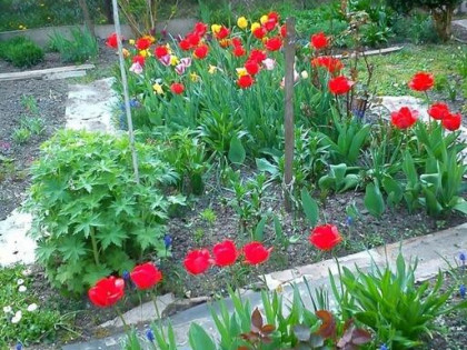 Działka rekreacyjna.