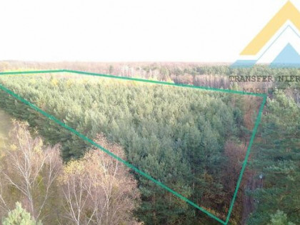 Działka leśna w Chłopowie 3,24 ha , 230 tys.!