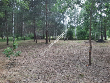 Słoneczna działka w leśnej okolicy Strzeniówka