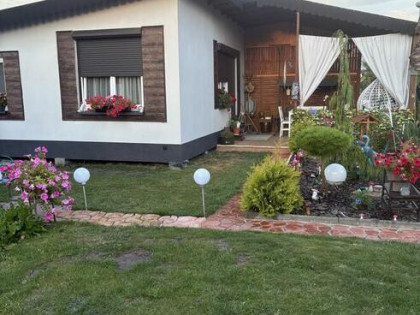 Dzialka ROD w Skierniewicach