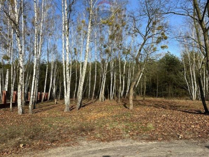 Konstancin-urokliwa działka budowlana /media/MPZP