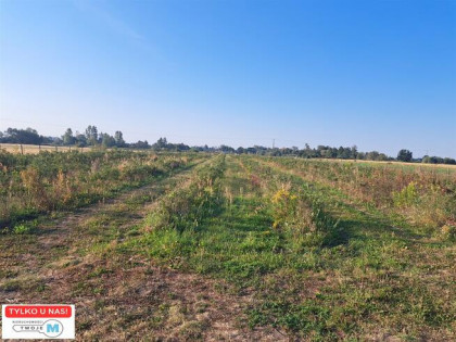 Działka rolna Łubnice Przeczów