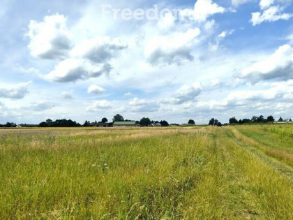 Działka budowlana- Ortel Królewski I