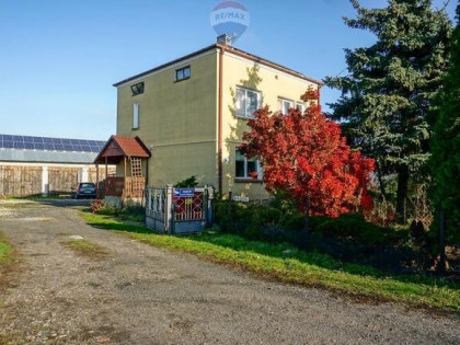 Siedlisko k. Makowa Mazowieckiego