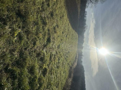 Sprzedam działkę nr 651, obręb 216 – łączna powierzchnia