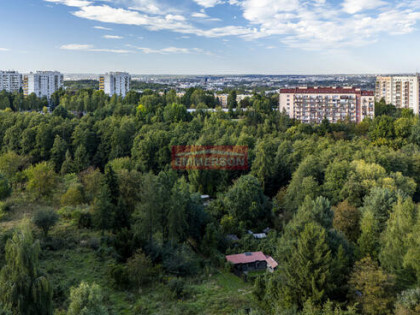 Widokowe w zielonej okolicy | Tramwaj