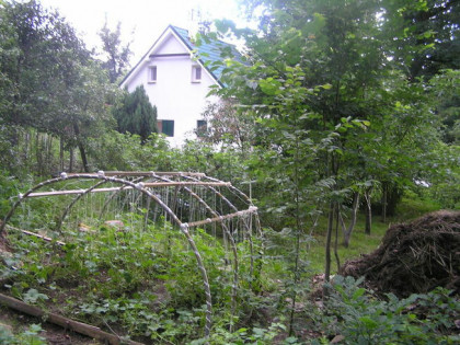 Sprzedam działkę budowlaną z domem całorocznym przy lesie