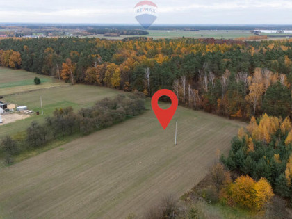 Działka pod lasem Załuski
