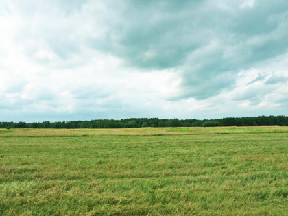 DĘBOWA OSTOJA piękne działki budowlane w Urzutach! dz. 25