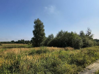 działka bud. 0,1 Ha Przybymierz, Lubuskie, War.Zab, Prąd,