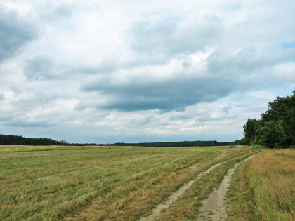 DĘBOWA OSTOJA piękne działki budowlane w Urzutach! dz. 3