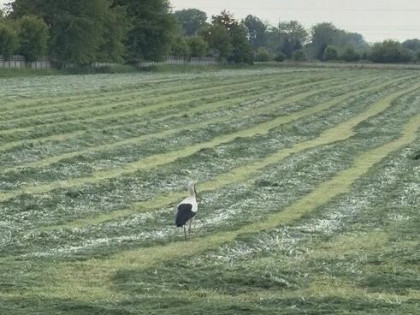 Sprzedam dom z działką 2 hektary