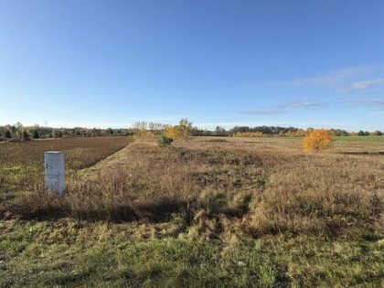 Syndyk sprzeda - Sworzyce