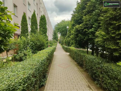 M-4 55,8 m2, ul.Małopolska Jastrzębie-Z, do zamieszkania.