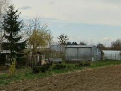 Działka inwestycyjna Łęczna