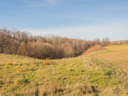 Działka rolna Kowalowa - gm. Ryglice!