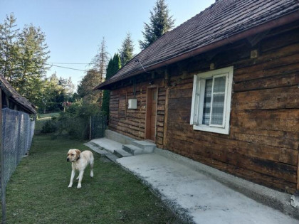 Sprzedam dom drewniano murowany