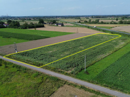 Działka budowlan 55,64 ar, WZ na 4 domy, Kliszów k. Mielca