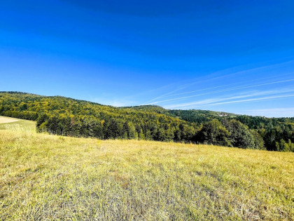 Działka rolno- leśna- Żurowa- Małopolska