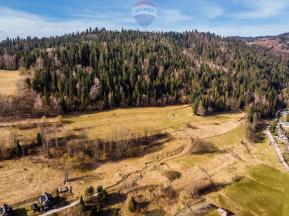 ŁOPUSZNA - duża dzialka leśna