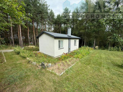 Na sprzedaż urokliwa nieruchomość w lesie