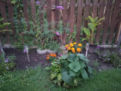 Sprzedam działkę budowlaną z pomieszczeniami gospodarczymi