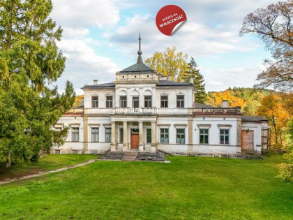 Lokal użytkowy Działoszyce Sancygniów