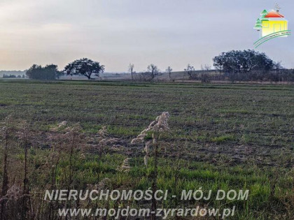 Działka budowlana Korytów gm. Radziejowice