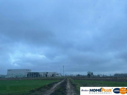 Inwestycyjna działka o pow 3,74 ha blisko trasy S8