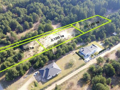 WARZĄCHEWKA POLSKA, w trakcie podziału, możliwość rezerwacji