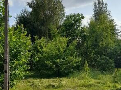 Piękna działka w Pionkach