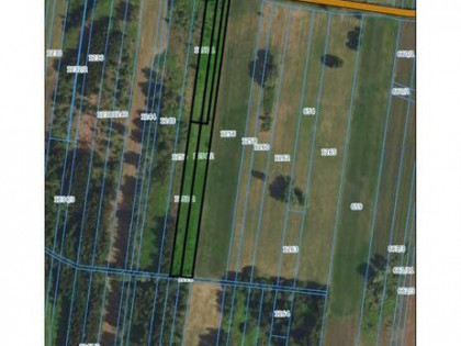 Działka 5500 m² pod zabudowę jednorodzinną