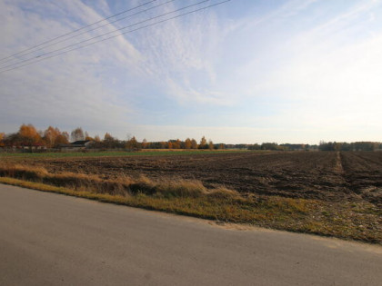 Działka rolno budowlana 65ar Sobolew Kol g. Firlej