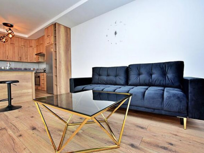 nowoczesny dom w zabudowie bliźniaczej, ogródek