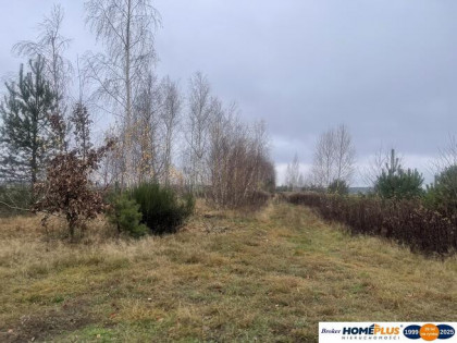 Działka 6443 m² z mediami przy asfaltowej drodze.