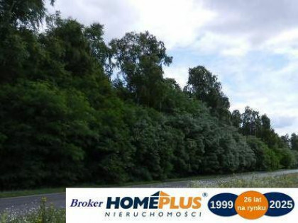Działka budowlana 940 m² blisko lasu.