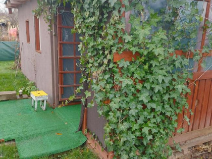 Sprzedam działkę ROD