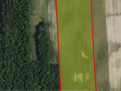 Licytacja komornicza, Andrzejówka, grunt użytkowany