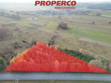 Działka Jedle gm. Łopuszno