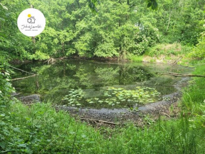 NOWA CENA Wyjątkowa działka z domkiem i stawem – Ryczołek