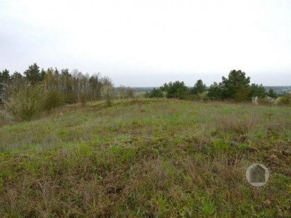 Działka z WZ w Nowym Kurowie, graniczy z lasem