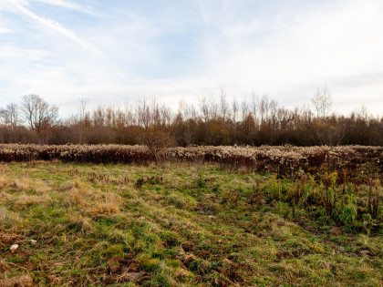 Na sprzedaż działka rolno-budowlana w Łękach