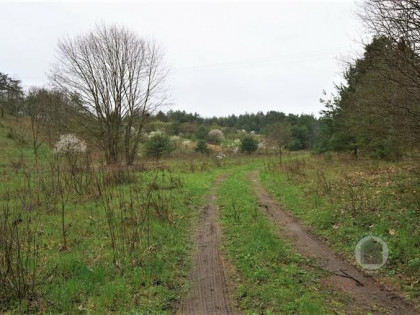 Działka z WZ na budynek handlowo - usługowy