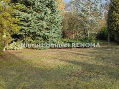 Działka rekreacyjna Jastrzębie-Zdrój Zdrój, Dębowa