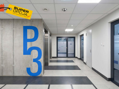 Lokal użytkowy Kraków gm. Kraków-Śródmieście Stare Miasto,