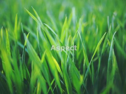 Działka Żory Rogoźna