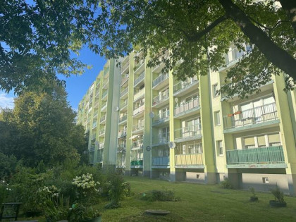 Mieszkanie Gliwice, Andromedy