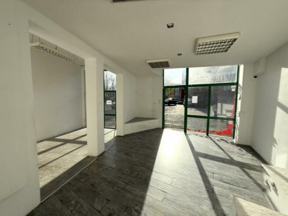 Lokal użytkowy Opole