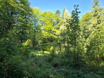 Działka rekreacyjna Zawadka gm. Tokarnia