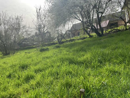 Działka i Dom Sandomierz/Nowy Kamień-inwestycyjna-budowlana